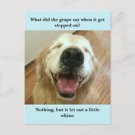 Postal Gracioso meme de Chiste de uva de Golden Retriever