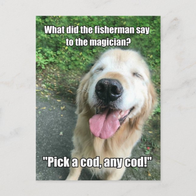 Postal Gracioso Meme de Chiste Fisherman Golden Retriever (Anverso)