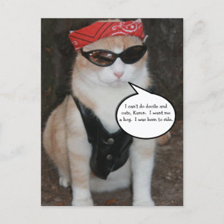 Postal Gracioso meme de gatos en bicicleta