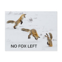Gracioso "No hay Fox Left"