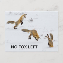 Postal Gracioso "No hay Fox Left"