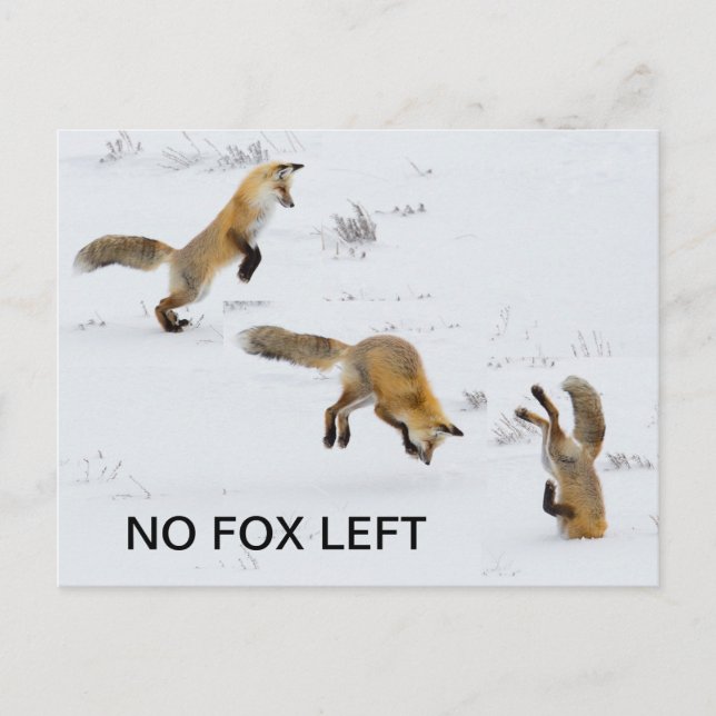 Postal Gracioso "No hay Fox Left" (Anverso)