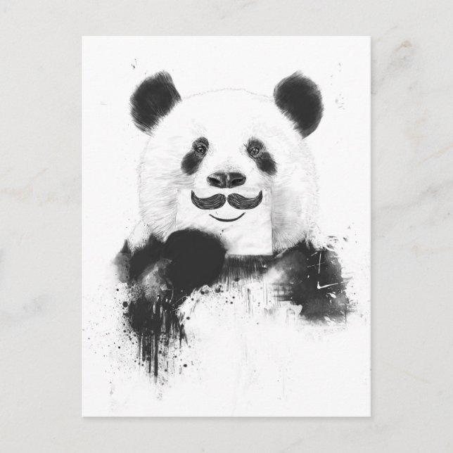 Postal Gracioso panda (Anverso)