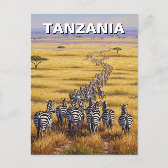 Postal Gracioso parque nacional Tanzania Serengeti Zebra (Anverso)