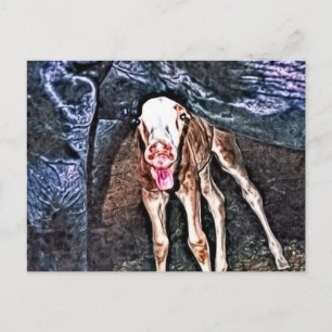 Postal Gracioso recién nacido