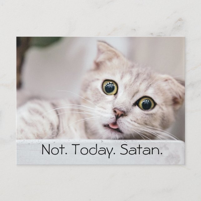 Postal Gracioso texto de gato (Anverso)