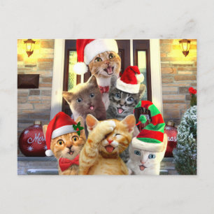 Postal Graciosos gatitos en el Día del Navidad