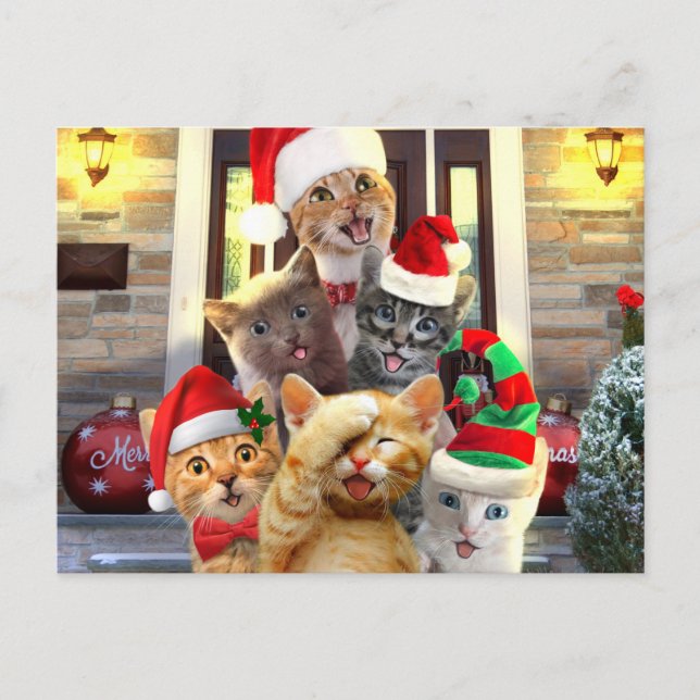 Postal Graciosos gatitos en el Día del Navidad (Anverso)