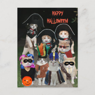 Postal Graciosos gatos merodeando en Halloween