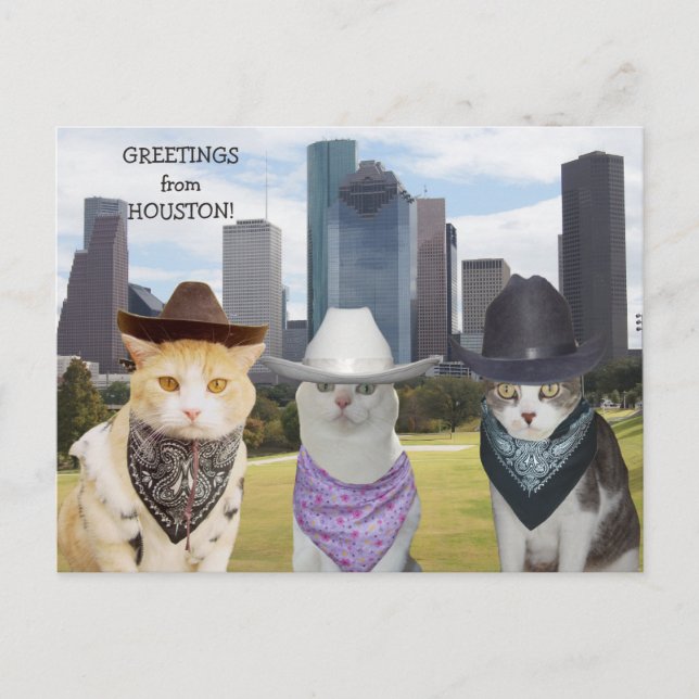 Postal Graciosos saludos de gatos y gitanos de Houston (Anverso)