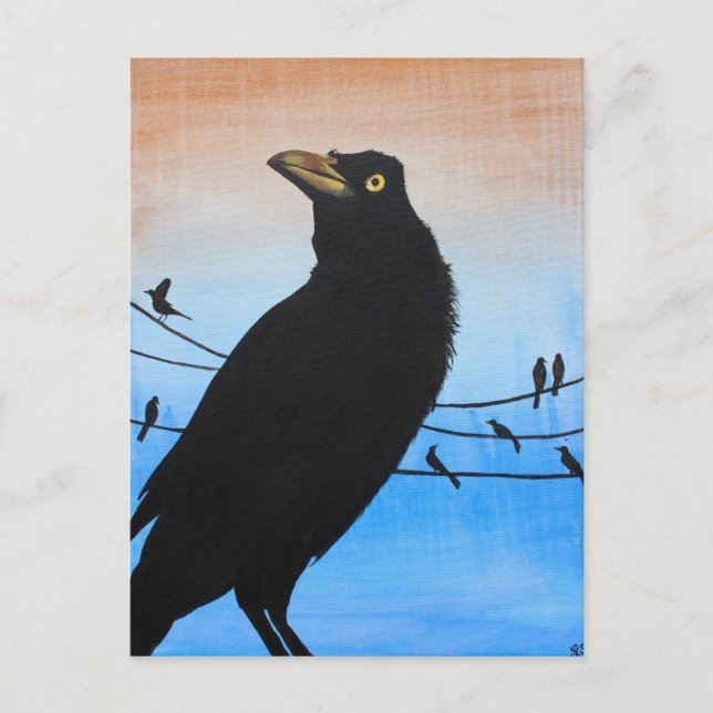 Postal Grackle Austin Texas Black Bird Wildlife Pintura (Anverso)