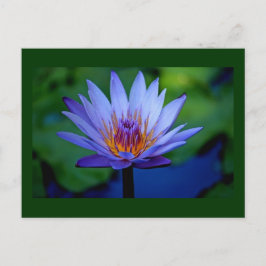 POSTAL GRADO FLORAL
