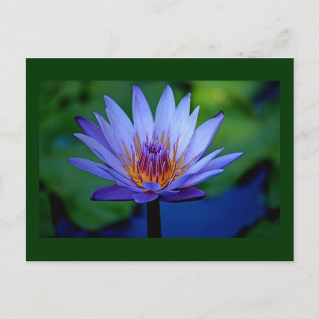 POSTAL GRADO FLORAL (Anverso)