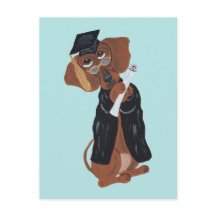 Graduado de Dachshund