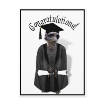 Graduado de Meerkat con traje gris y negro