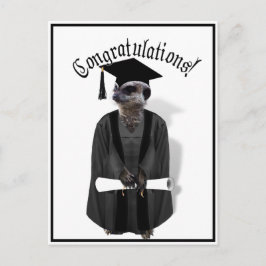 Postal Graduado de Meerkat con traje gris y negro