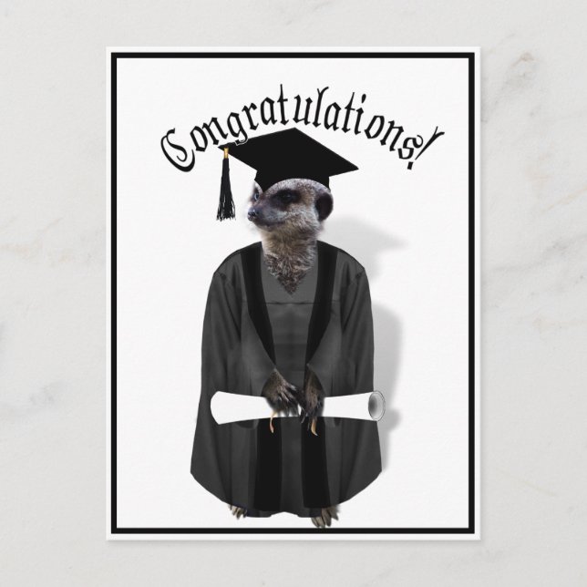 Postal Graduado de Meerkat con traje gris y negro (Anverso)