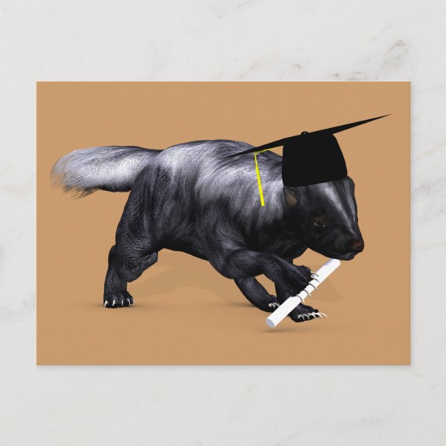 Postal Graduado Skunk (Anverso)
