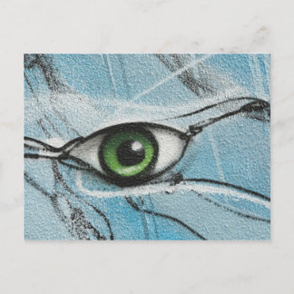 Postal Graffiti Eye
