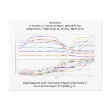 Gráfica del soporte de la gimnasia