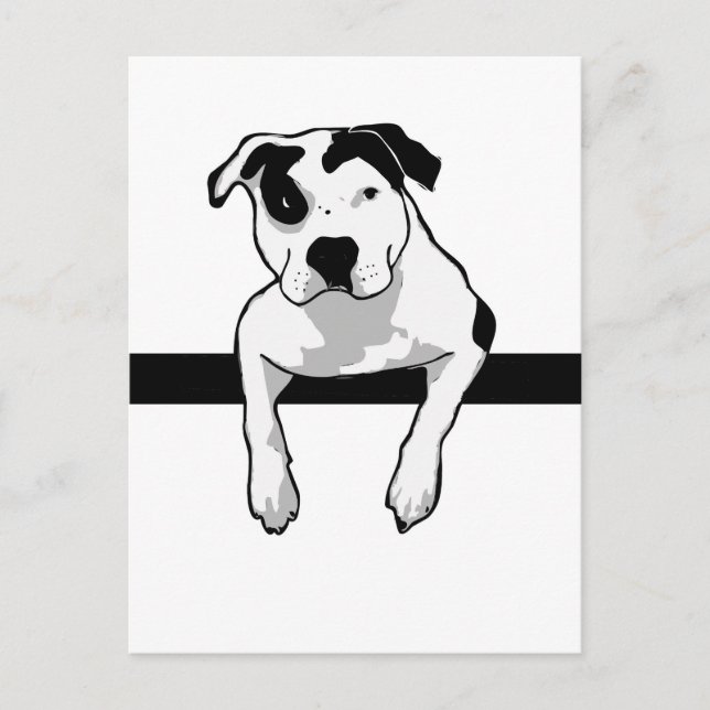 Postal Gráfica T-Bone de Pit Bull (Anverso)