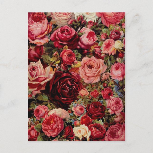 Postal gráfica vintage (Anverso)