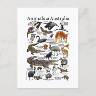 Postal Gráfico animado de Australia