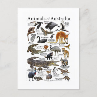 Postal Gráfico animado de Australia