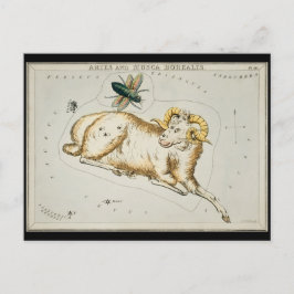 Postal Gráfico astronómico de antigüedades Astronomía Zod