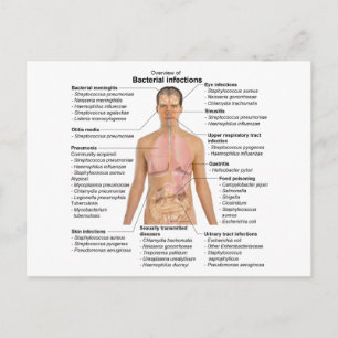 Postal Gráfico de infecciones bacterianas en humanos  