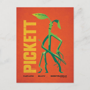Postal Gráfico de la época de Pickett