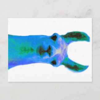 Postal Gráfico de Llama Azul