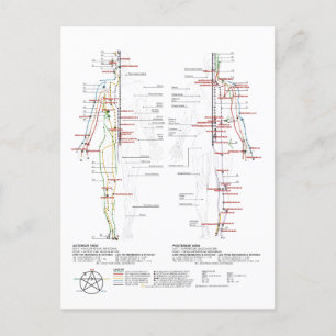 Postal Gráfico de meridianos humanos