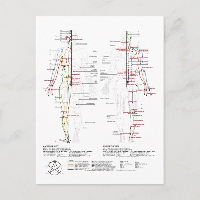 Postal Gráfico de meridianos humanos (Anverso)
