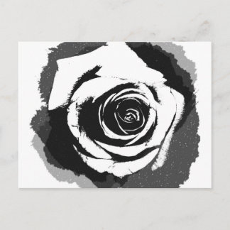 Postal Gráfico de rosa blanco y negro