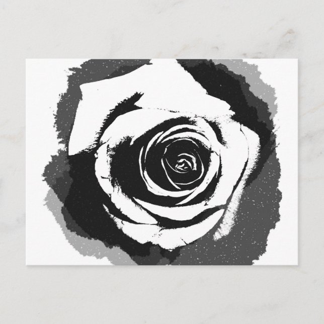 Postal Gráfico de rosa blanco y negro (Anverso)