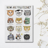 Gráfico de Sentimientos de Gatos Divertidos ¿Cómo 