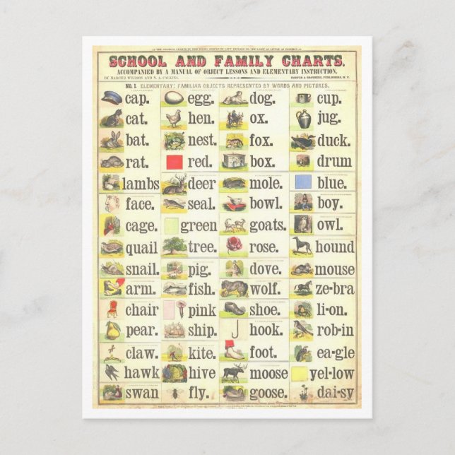 Postal Gráfico educativo de vintage para palabras visuale (Anverso)