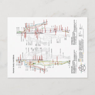 Postal Gráfico esquemático Meridianos de cuerpos humanos 