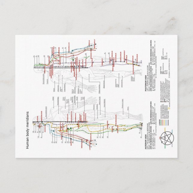 Postal Gráfico esquemático Meridianos de cuerpos humanos  (Anverso)