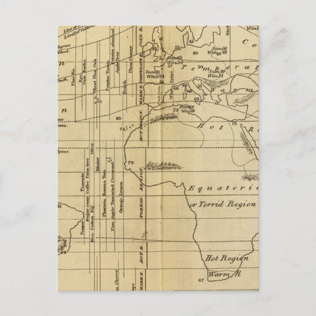 Postal Gráfico isotérmico (Anverso)