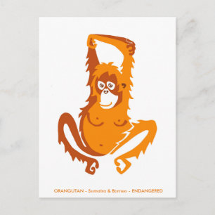 Postal Gráfico original - ORANGUTAN - Especies amenazadas