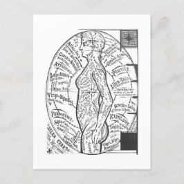 Postal "Gráfico solar: El microcosmos" Astrología zodiaca