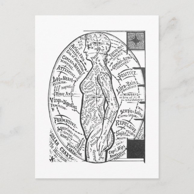 Postal "Gráfico solar: El microcosmos" Astrología zodiaca (Anverso)