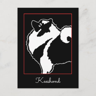 Postal Gráficos de Keeshond - Arte de perro original lind