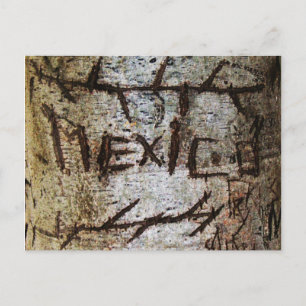 Postal Grafiti de árboles tallados "México"