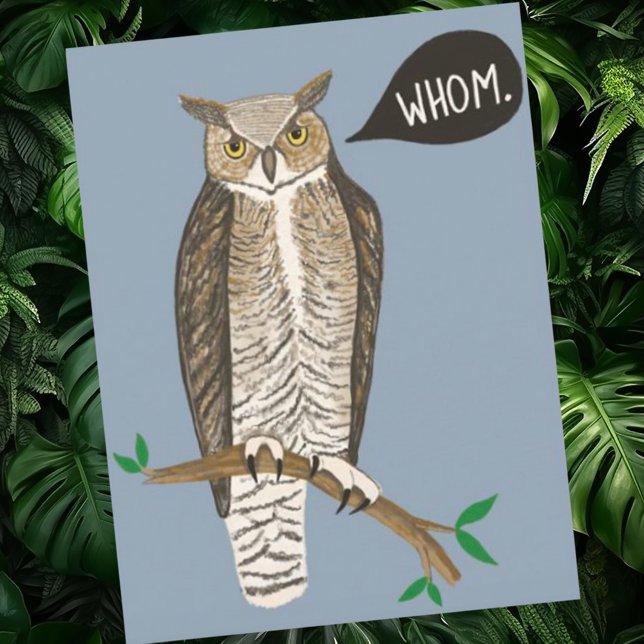 Postal Gramática Grammar (Cute grammar owl custom postcard. Who = whom haha)