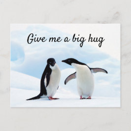Postal Gran abrazo al Pingüino en foto de hielo con texto