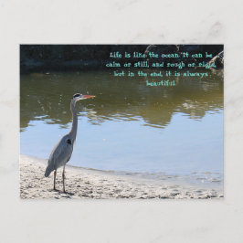 Postal Gran Azul Heron Hilton Head Sc Con Océano