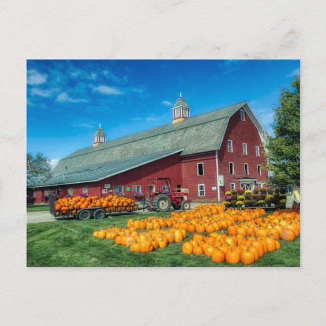 Postal Gran Barn Vermont Rojo Con Calabazas (Anverso)
